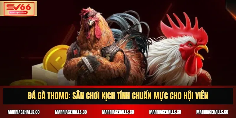 Người dùng cần chú ý điều gì khi đăng nhập vào Gobet? - Gobet
