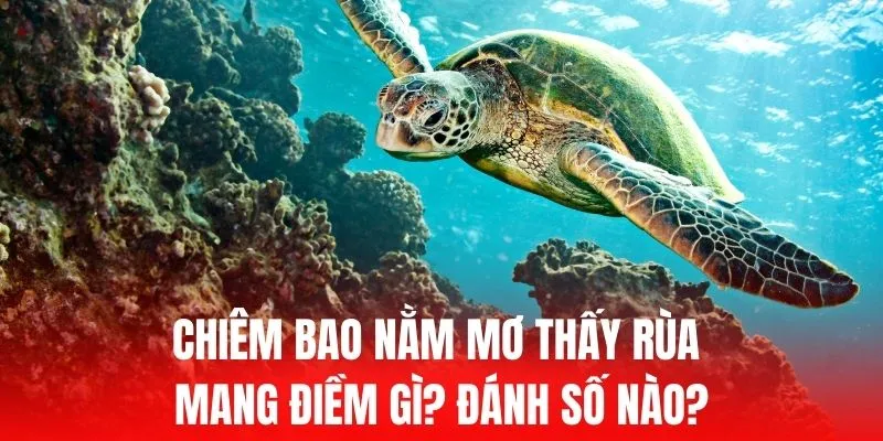 Những lợi thế độc đáo của Công ty Game UC Hitclub - Hitclub
