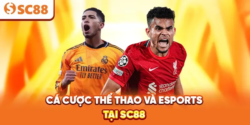 Trên mạng đang lan truyền tin đồn rằng Vl88 là một trò lừa đảo Nguyên nhân của những tin đồn này là gì? - Vl88