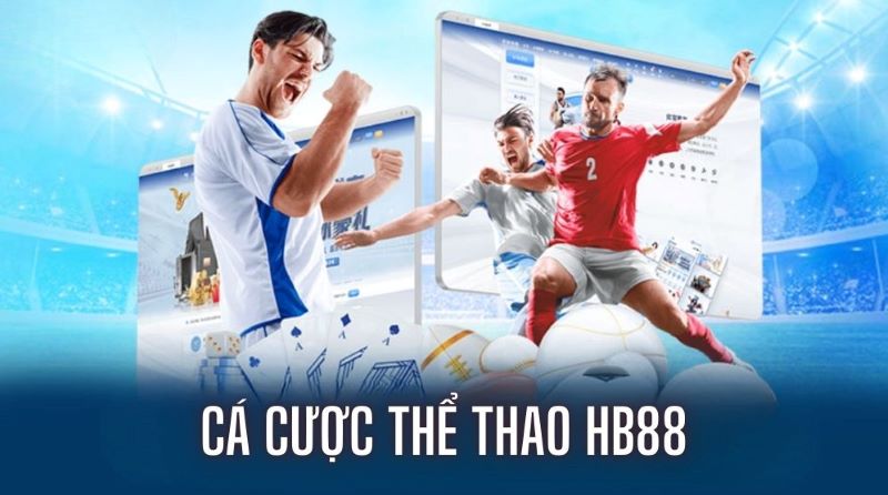 Tại sao nên chọn một công ty cá cược trực tuyến được xếp hạng N666 cho hoạt động cá cược của bạn? - N666