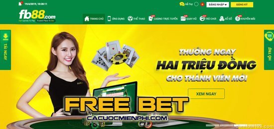 Có những quy định về độ tuổi đối với các cuộc thi cấp độ New88 - New88