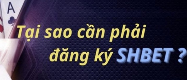 Các phương pháp phân tích hiệu quả tỷ lệ cược trận đấu bóng đá cấp độ B8b - B8b