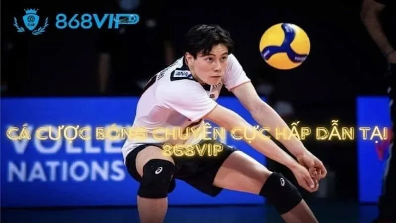 9Dbet cập nhật tỷ lệ cược mới nhất hôm nay - 9Dbet