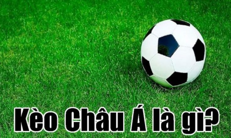 Các tính năng nâng cao danh tiếng cấp độ Gowin - Gowin