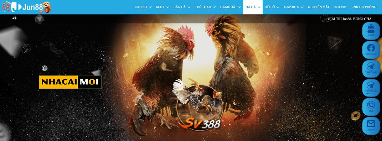 Các chương trình khuyến mãi và sự kiện của Tp88 - Tp88