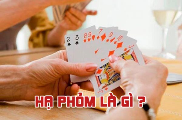 Lưu ý quan trọng khi đăng ký làm đại lý với Ok22 - Ok22