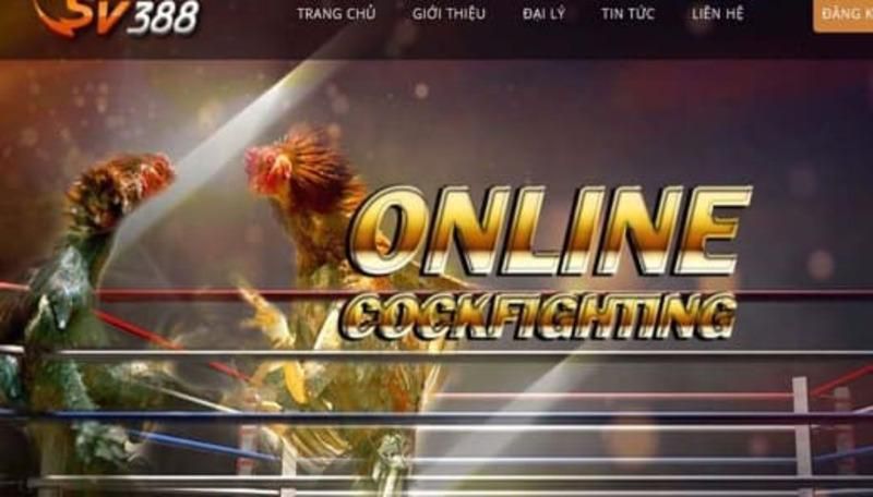 Tổng quan ngắn gọn về trò chơi bài trực tuyến Mau Binh Go88 - Go88