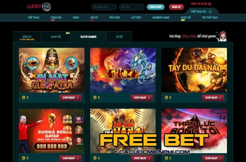 Thông tin chung và hoạt động của 9Dbet là gì? - 9Dbet