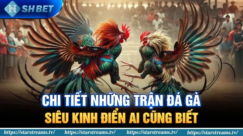Fm88 có gì thú vị vậy? - Fm88